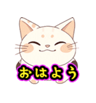 あほかわいい猫（マンチカン）（個別スタンプ：1）