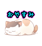 あほかわいい猫（マンチカン）（個別スタンプ：6）