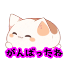 あほかわいい猫（マンチカン）（個別スタンプ：10）