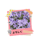 花の世界！（個別スタンプ：3）