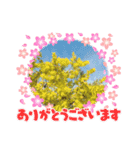 花の世界！（個別スタンプ：7）