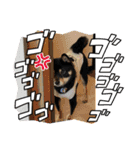 やんちゃ道達人縁隊長スタンプ2（個別スタンプ：5）