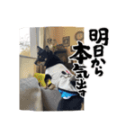 やんちゃ道達人縁隊長スタンプ2（個別スタンプ：8）