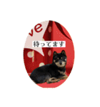 やんちゃ道達人縁隊長スタンプ2（個別スタンプ：13）
