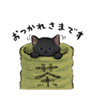 うちの子黒猫！(にほんねこ)（個別スタンプ：16）