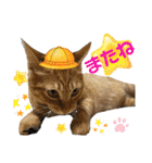 カミノとチャ太郎（個別スタンプ：9）