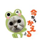 栗銀もの（個別スタンプ：5）