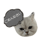 栗銀もの（個別スタンプ：10）