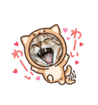 うちのネコ 名はトラ（個別スタンプ：8）