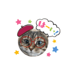 うちのネコ 名はトラ（個別スタンプ：12）