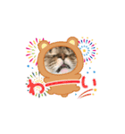 うちのネコ 名はトラ（個別スタンプ：27）