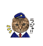 うちのネコ 名はトラ（個別スタンプ：31）