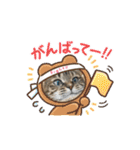 うちのネコ 名はトラ（個別スタンプ：36）