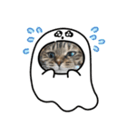 うちのネコ 名はトラ（個別スタンプ：40）