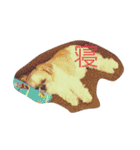シーズーのこはなちゃん！2（個別スタンプ：10）