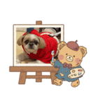 シーズーのこはなちゃん！2（個別スタンプ：24）