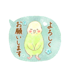 インコちゃんの丁寧スタンプ〜大人可愛い〜（個別スタンプ：10）