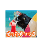 動く黒猫 ハルとロビンの夏（個別スタンプ：7）