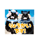 動く黒猫 ハルとロビンの夏（個別スタンプ：8）