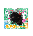 動く黒猫 ハルとロビンの夏（個別スタンプ：12）