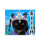 動く黒猫 ハルとロビンの夏（個別スタンプ：20）