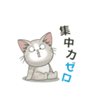 【年中ヤル気がでない】仔猫のぽんにゃん（個別スタンプ：1）