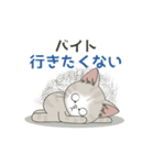 【年中ヤル気がでない】仔猫のぽんにゃん（個別スタンプ：8）