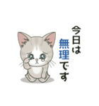 【年中ヤル気がでない】仔猫のぽんにゃん（個別スタンプ：9）