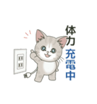 【年中ヤル気がでない】仔猫のぽんにゃん（個別スタンプ：13）