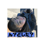 イサムパイセン（個別スタンプ：14）
