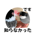 桜文鳥わすけライトビジネスわす【改訂版】（個別スタンプ：18）