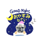 かわいい♪パグ Pug Dog（個別スタンプ：4）