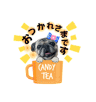 かわいい♪パグ Pug Dog（個別スタンプ：5）