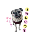 かわいい♪パグ Pug Dog（個別スタンプ：9）