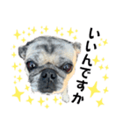かわいい♪パグ Pug Dog（個別スタンプ：17）