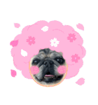 かわいい♪パグ Pug Dog（個別スタンプ：32）