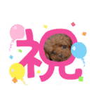 ブランのつぶやき（個別スタンプ：5）