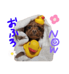 ブランのつぶやき（個別スタンプ：7）