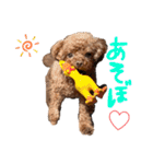 ブランのつぶやき（個別スタンプ：12）