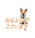 まるスタンプ(かわいい)（個別スタンプ：1）