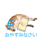 まるスタンプ(かわいい)（個別スタンプ：2）