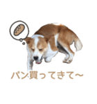 まるスタンプ(かわいい)（個別スタンプ：24）