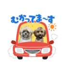 むぎとあお（個別スタンプ：2）