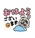 むぎとあお（個別スタンプ：4）