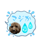 むぎとあお（個別スタンプ：6）