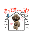 むぎとあお（個別スタンプ：8）