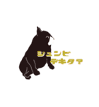 〜フレブルの日常スタンプ〜（個別スタンプ：36）