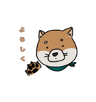 茶柴の日常（個別スタンプ：1）