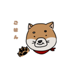 茶柴の日常（個別スタンプ：2）