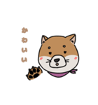 茶柴の日常（個別スタンプ：6）